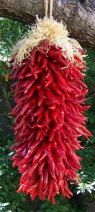 146a4e7d2e939df26b170c3d9ef9b57c